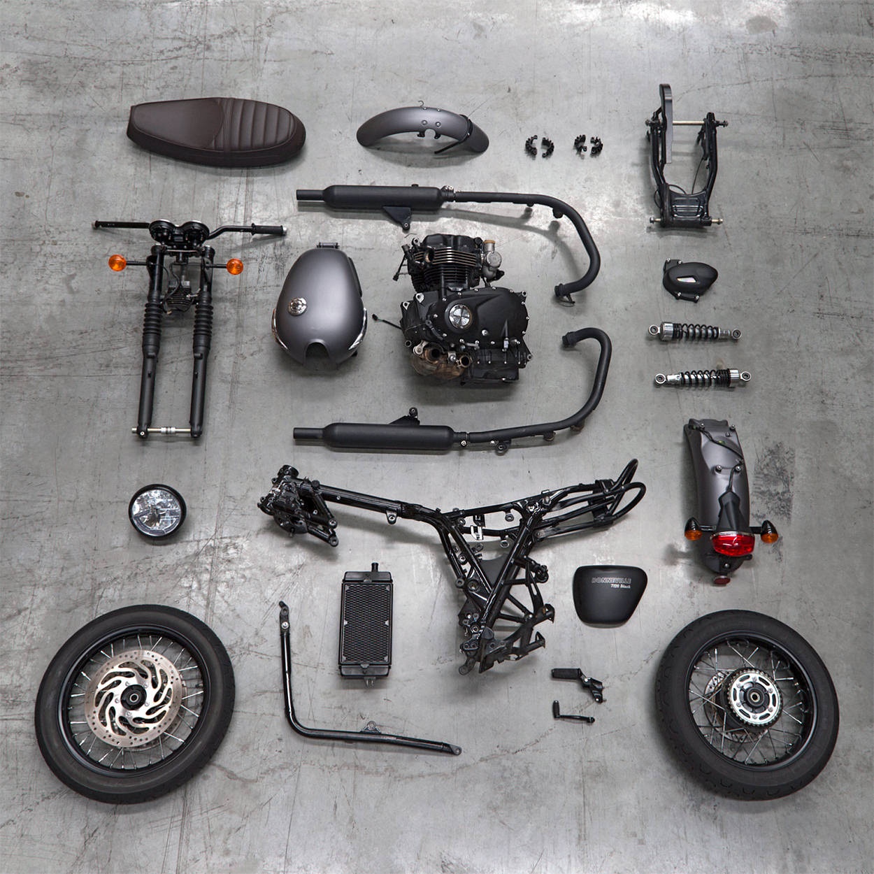 Xe do Triumph T120 Cafe racer anh 6