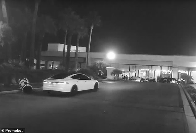 Xe tự lái Tesla robot CES 2019 ảnh 1 Xe tu lai Tesla robot CES 2019 anh 1