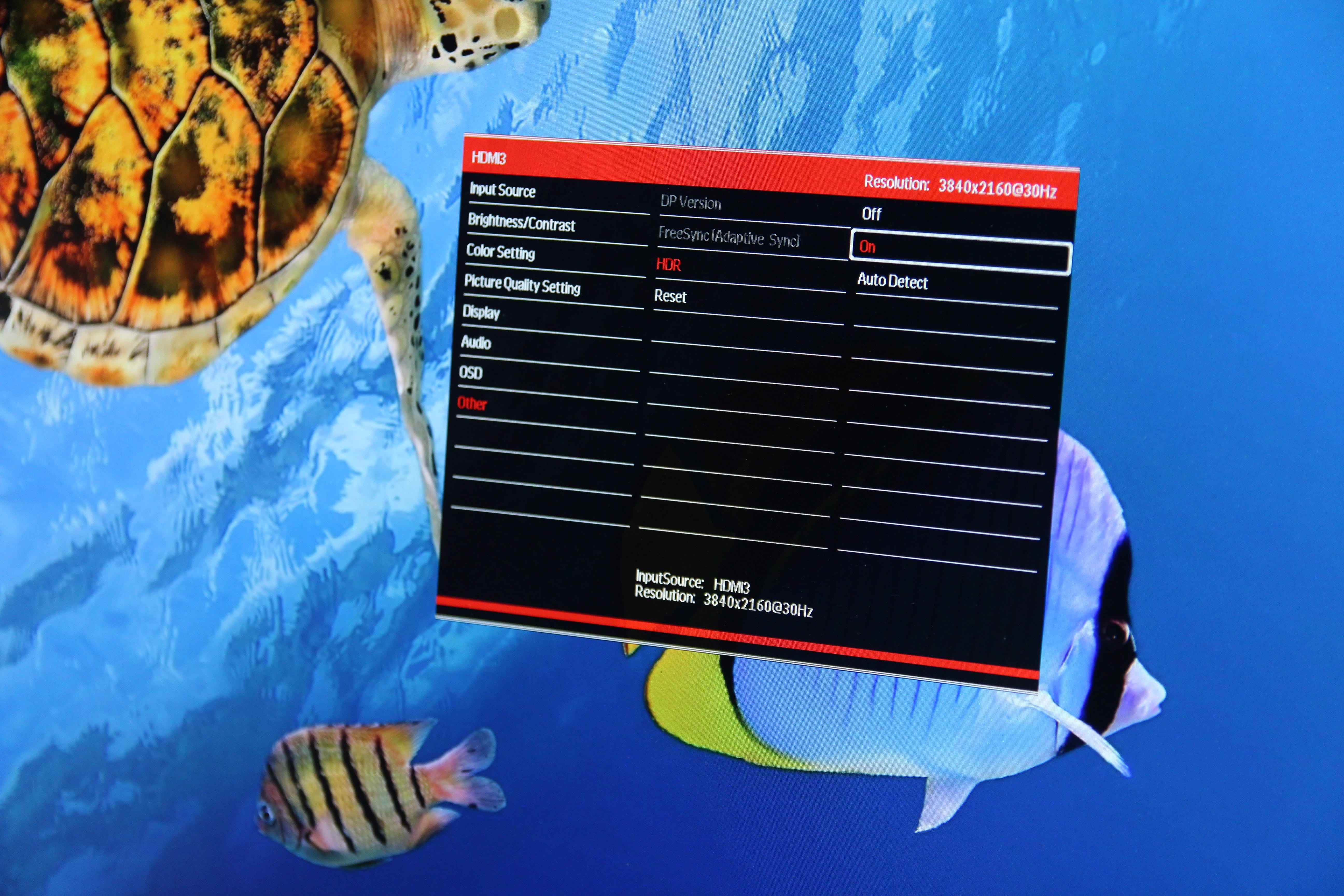 Man hinh 4K gia re anh 6