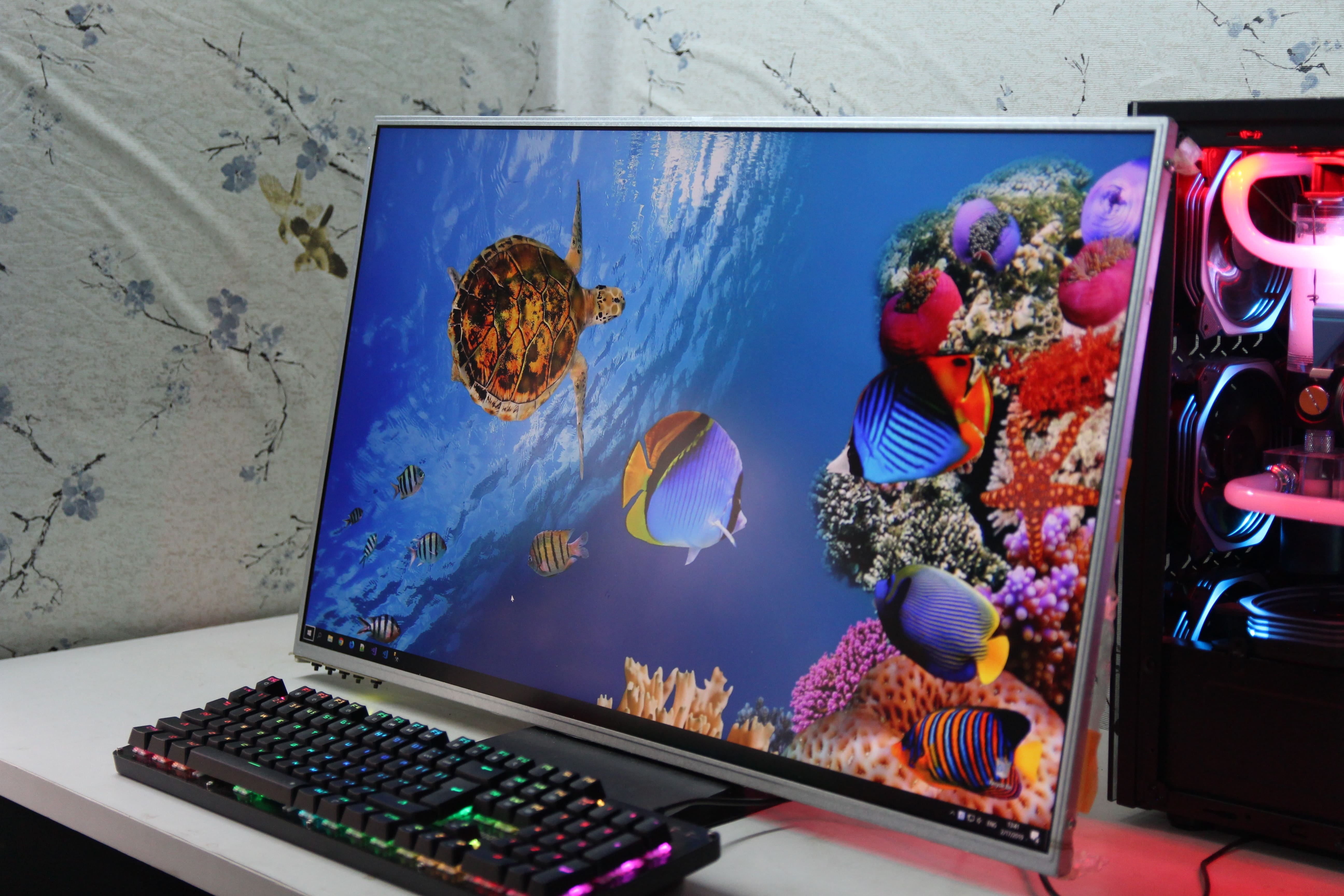 Man hinh 4K gia re anh 1