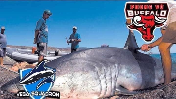 Chum anh hai huoc cua PVB truoc Vega Squadron anh 1