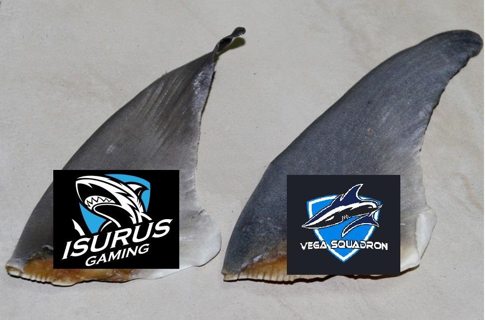 Chum anh hai huoc cua PVB truoc Vega Squadron anh 6