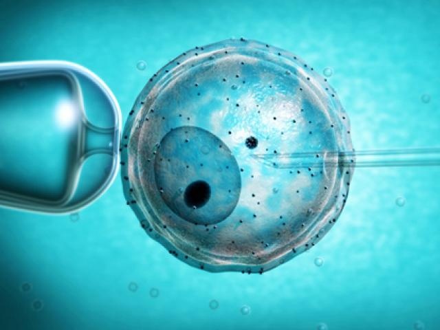 Dong lanh trung - trao luu duoc gioi nha giau o Anh ua chuong hinh anh