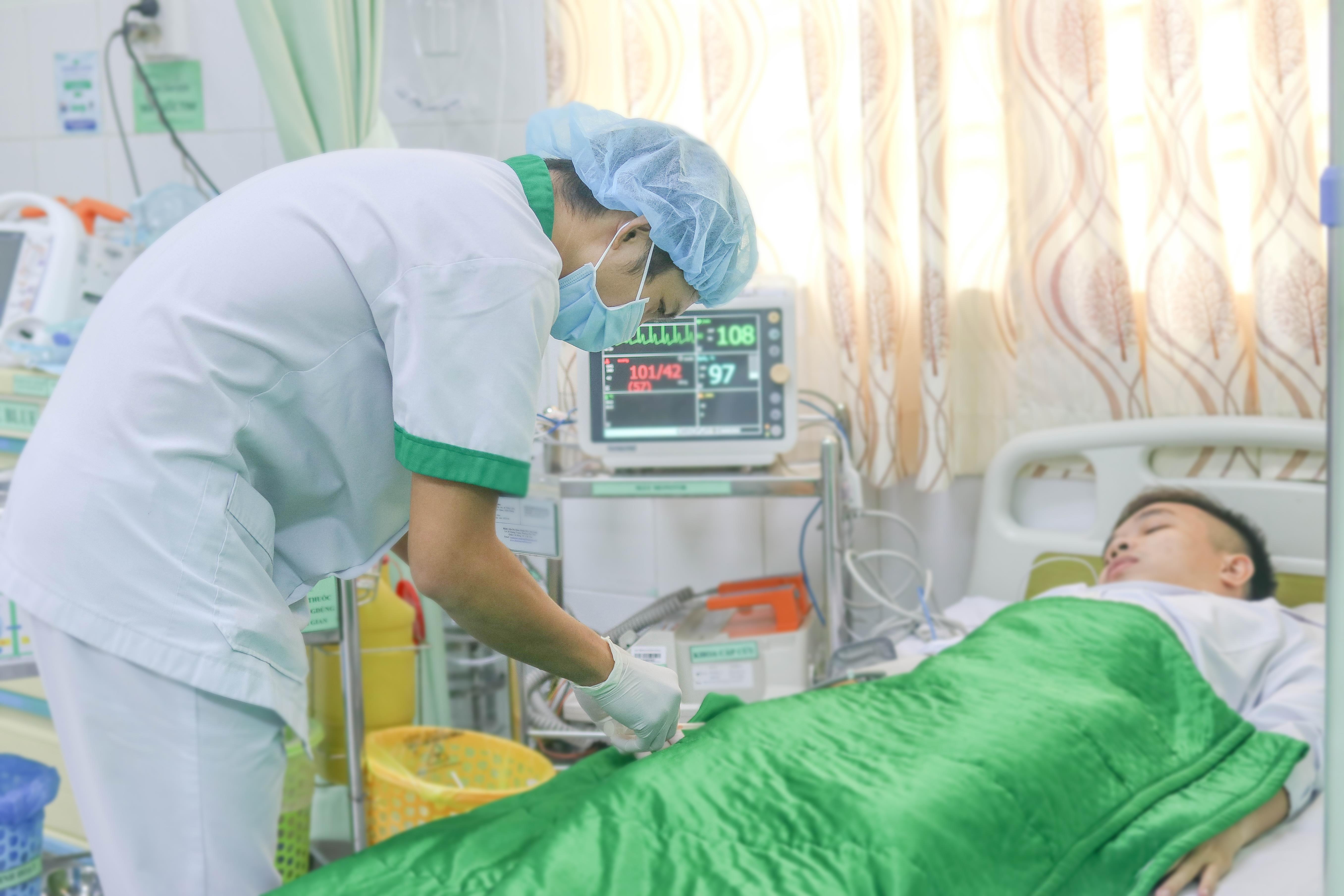 ong mật rừng đốt nguy kịch ảnh 1 ong mat rung dot nguy kich anh 1