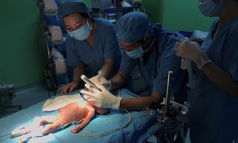 Phau thuat tim cho be gai 1, 6 kg anh 1