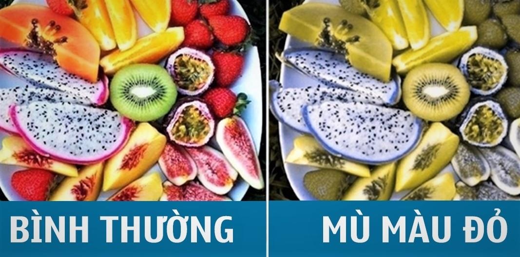người bệnh mù màu nhìn thấy như thế nào ảnh 3 nguoi benh mu mau nhin thay nhu the nao anh 3