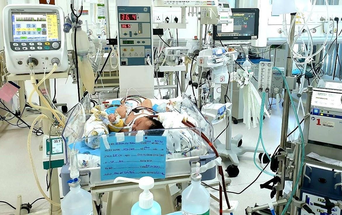 viêm phổi do hít phân su ảnh 1 viem phoi do hit phan su anh 1