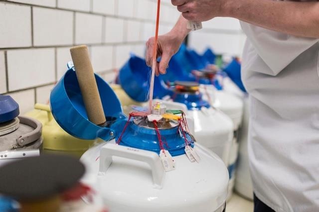 xin tinh trùng ảnh 1 xin tinh trung anh 1