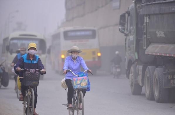 O nhiem o Ha Noi len muc tim, nhung ai khong nen ra duong? hinh anh