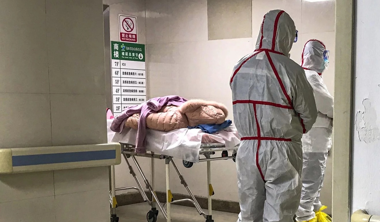 virus viêm phổi cấp tại Trung Quốc ảnh 2 virus viem phoi cap tai Trung Quoc anh 2