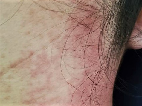 Toan than ngua rat, noi man do thoa ruou gung nghe ha tho hinh anh