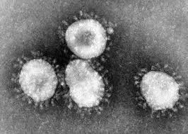 biến chủng mới của virus SARS-CoV-2 ảnh 1 bien chung moi cua virus SARS-CoV-2 anh 1