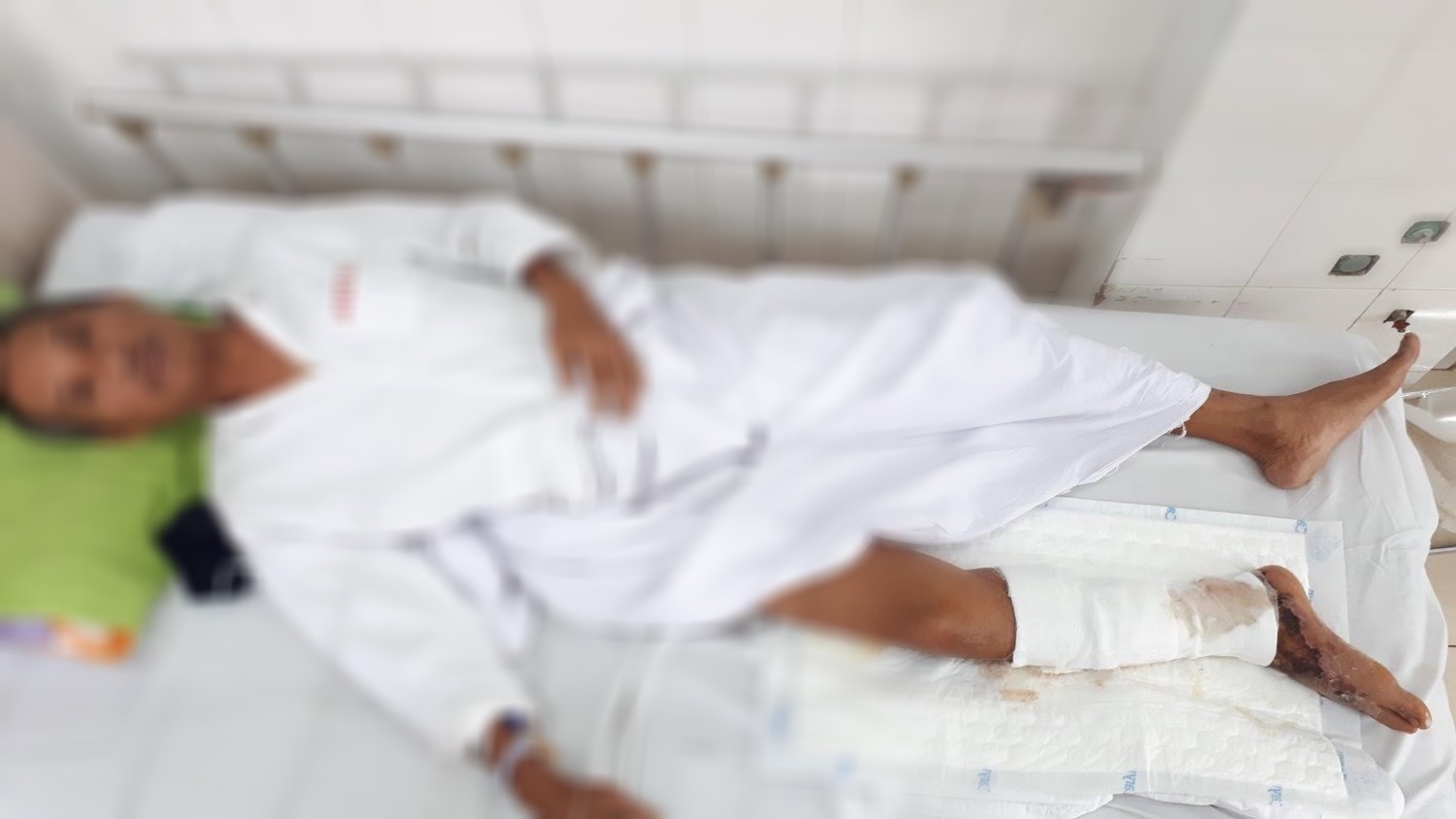 cua chan vi an goi ca ro phi anh 1