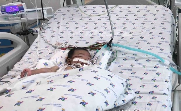 nhiễm khuẩn tụ cầu vàng kháng thuốc ảnh 1 nhiem khuan tu cau vang khang thuoc anh 1