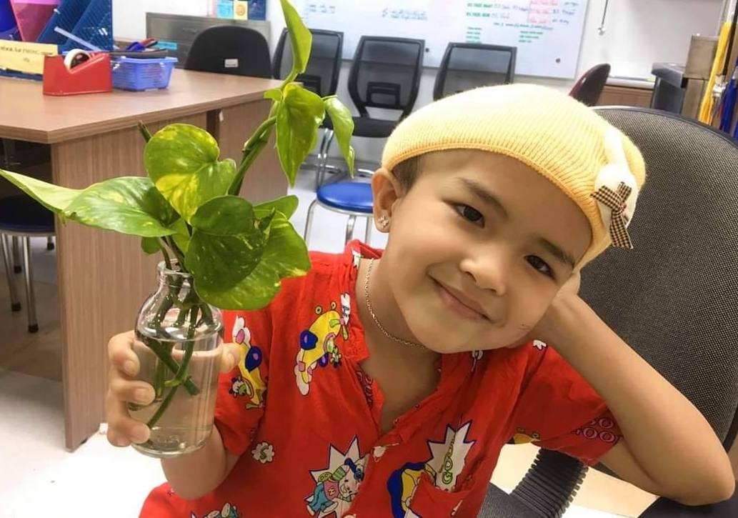 bé gái hôn mê do xuất huyết não ảnh 1 be gai hon me do xuat huyet nao anh 1
