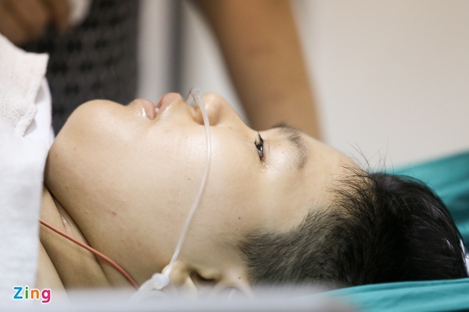 cay phuong nga de hoc sinh anh 1