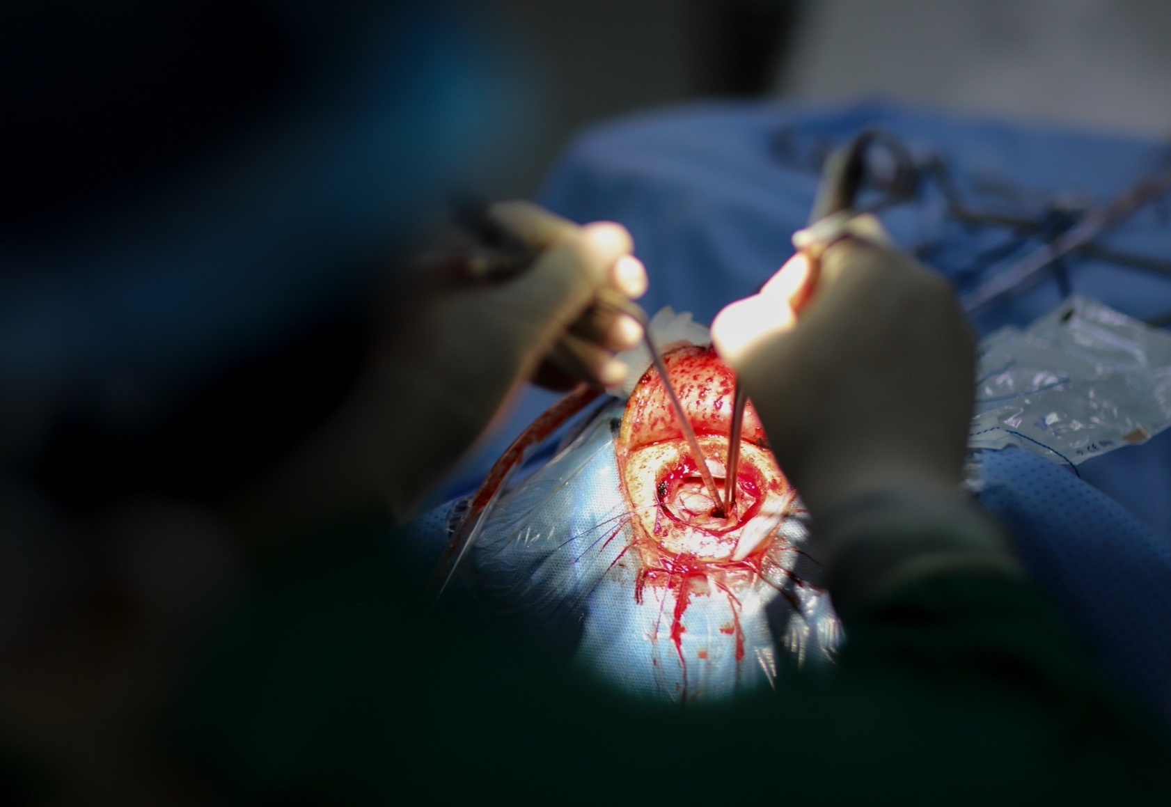 mo nao bang robot anh 10