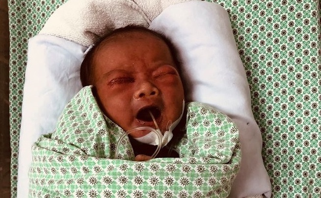 ‘Be so sinh bi bo roi o ho ga song sot la dieu ky dieu’ hinh anh