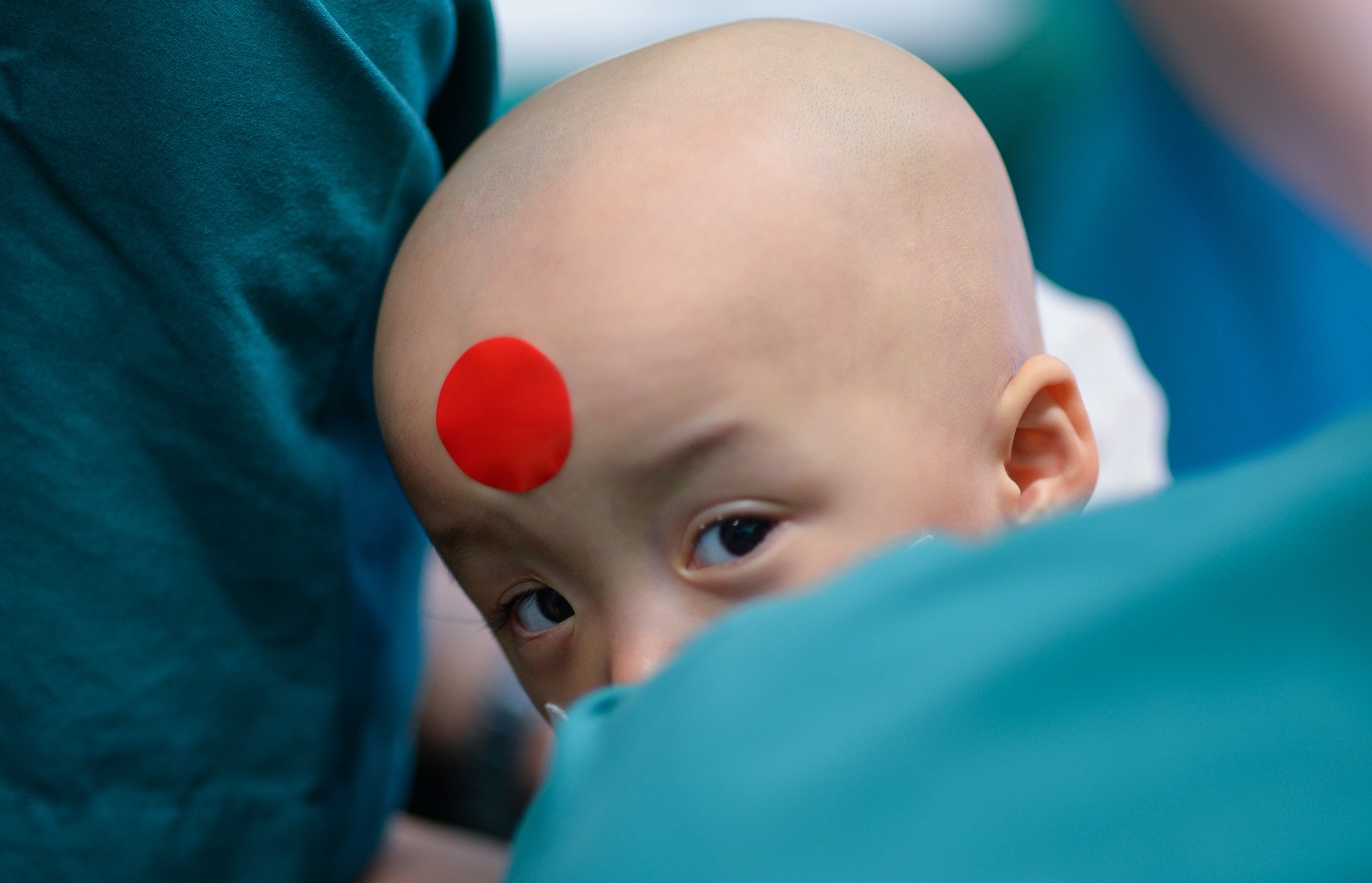 GS Tran Dong A: ‘Hanh trinh cua song Nhi con rat dai va gian nan' hinh anh