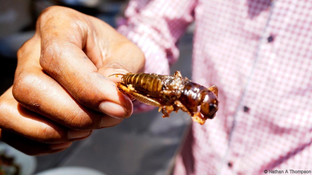 Be trai nguy kich sau khi an de hinh anh