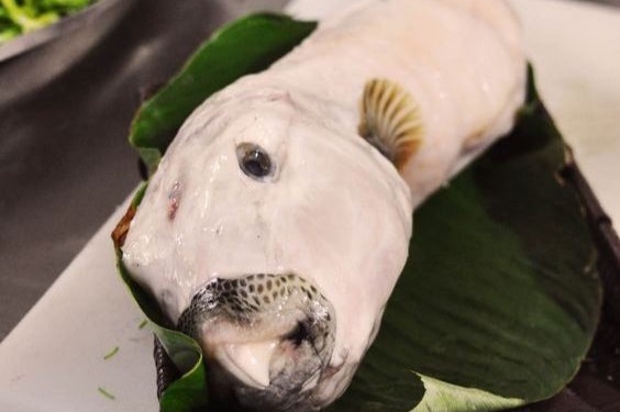 Noc doc cua ca mat tho nguy hiem the nao? hinh anh