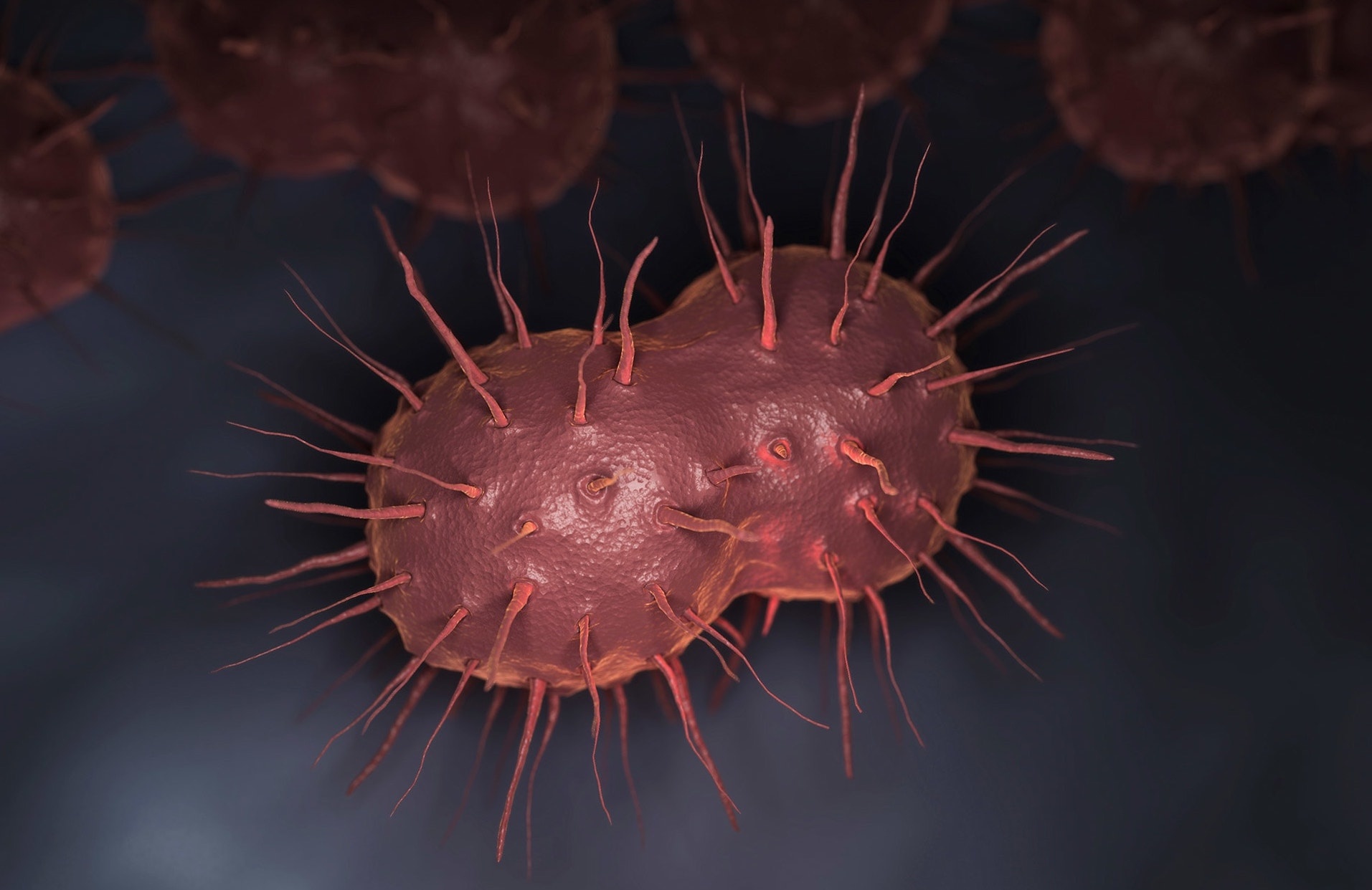 benh lay truyen qua duong tinh duc anh 2