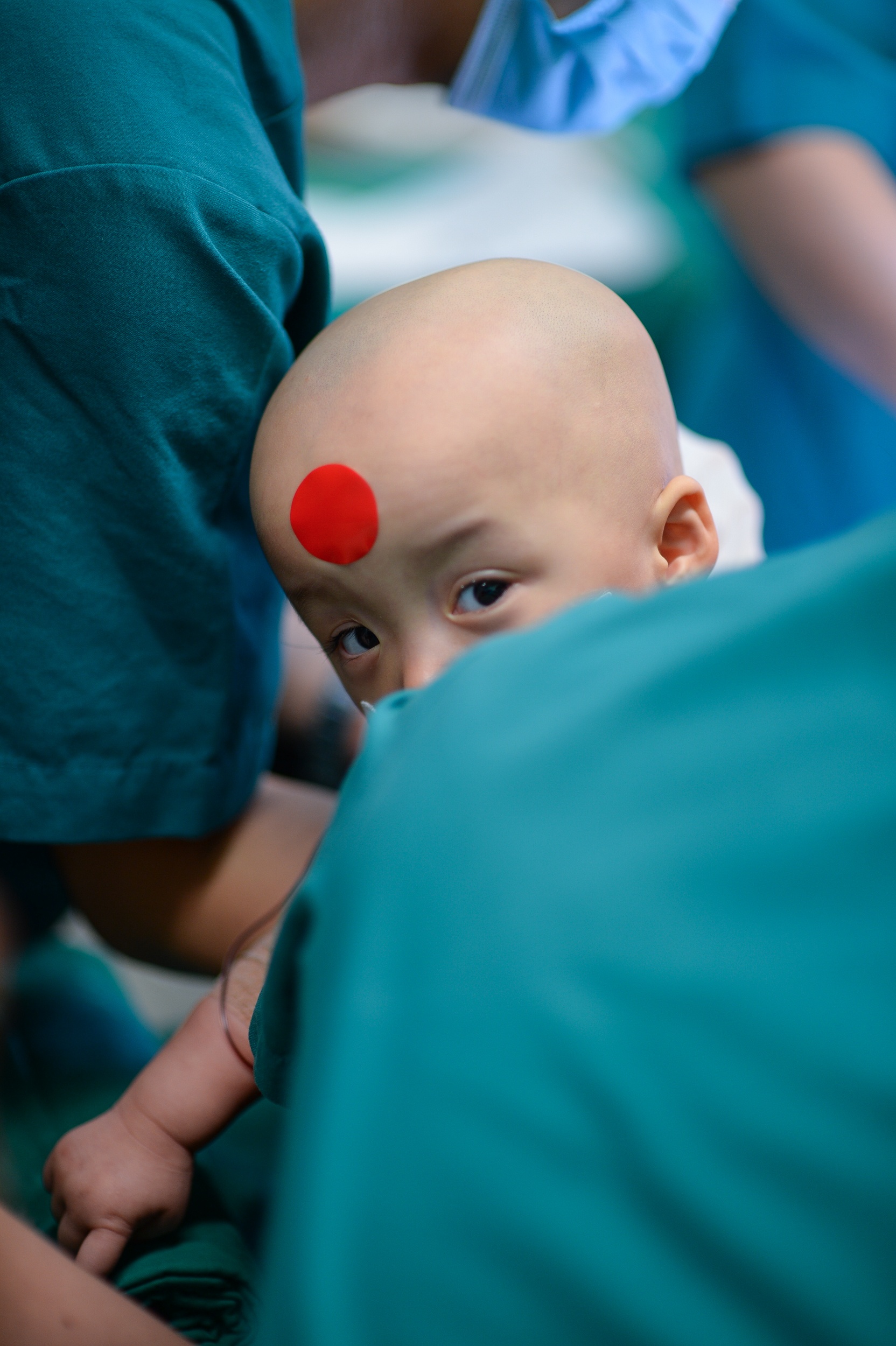 84 ngày song nhi xuất viện ảnh 4 84 ngay song nhi xuat vien anh 4