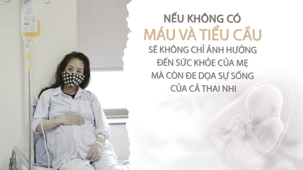 bệnh nhân chờ tiểu cầu  ảnh 2 benh nhan cho tieu cau anh 2