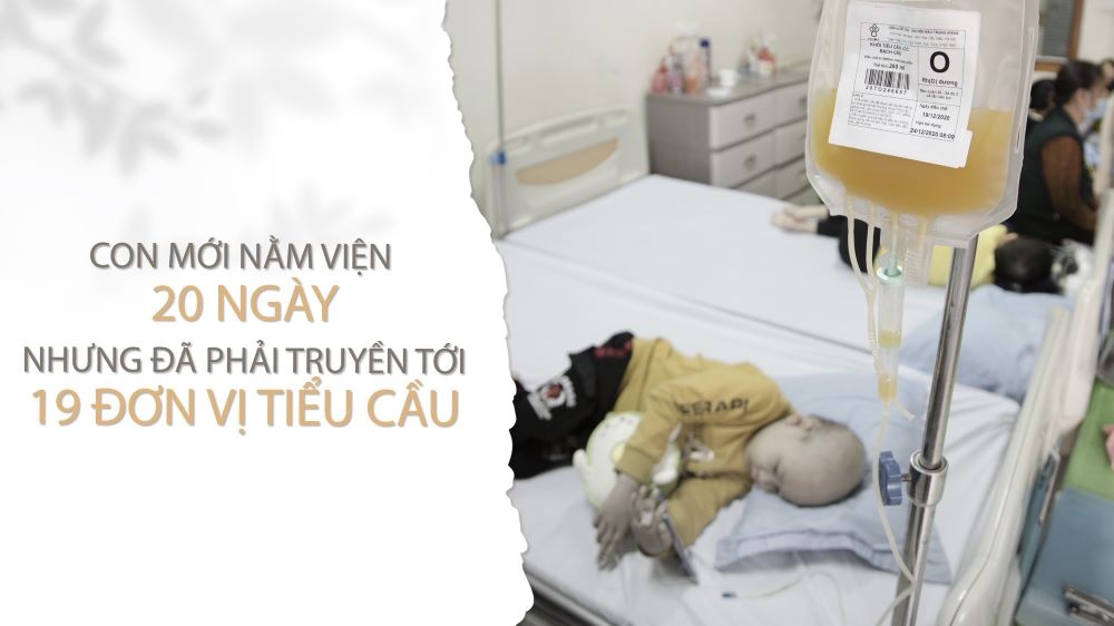 bệnh nhân chờ tiểu cầu  ảnh 1 benh nhan cho tieu cau anh 1