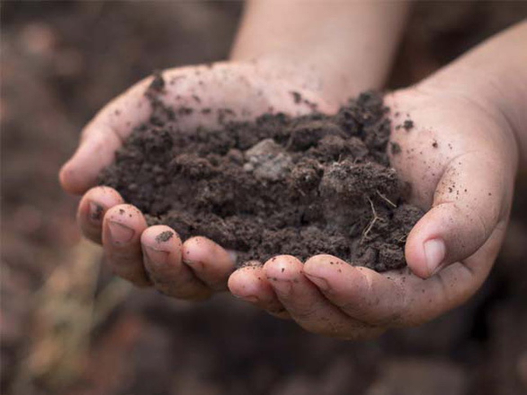 Be gai o Quang Binh mac benh Whitmore hinh anh