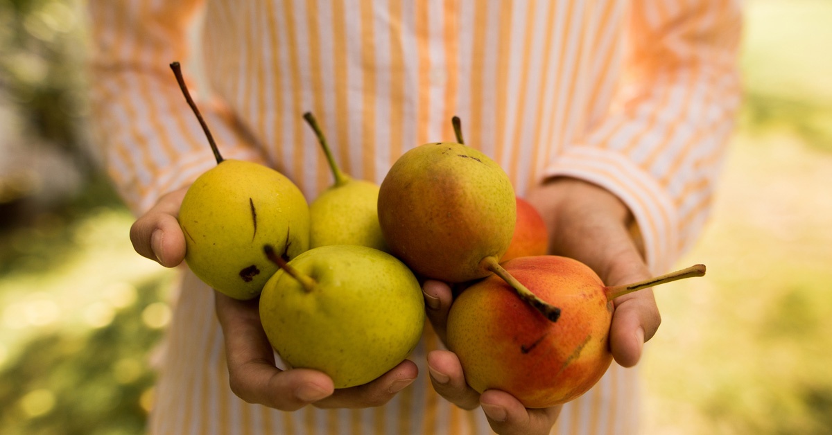 Ai khong nen an le? anh 5