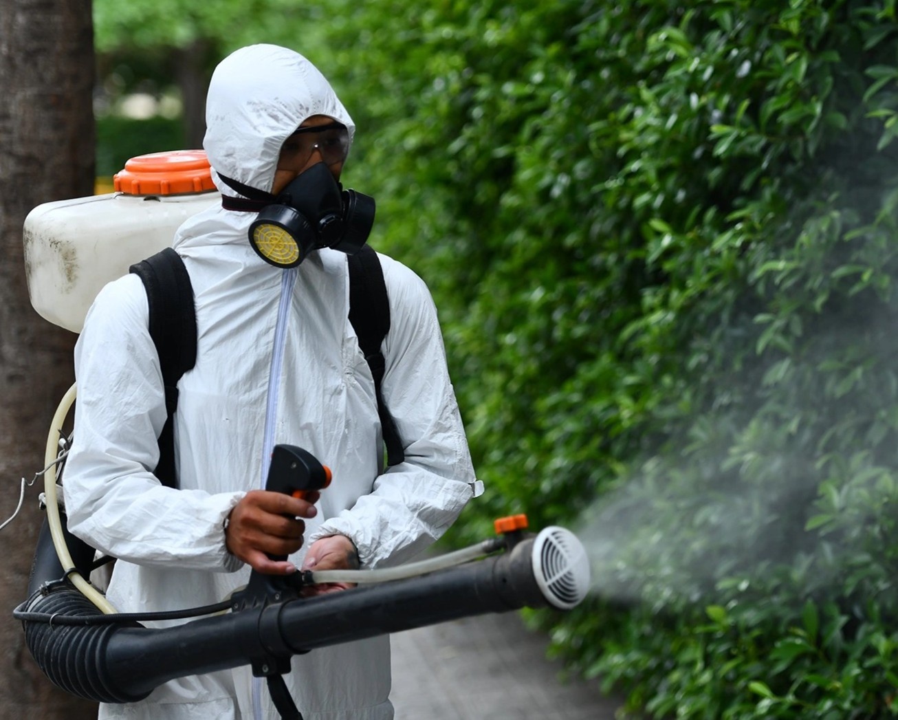 tinh hinh dich Covid-19 tai Viet Nam anh 1