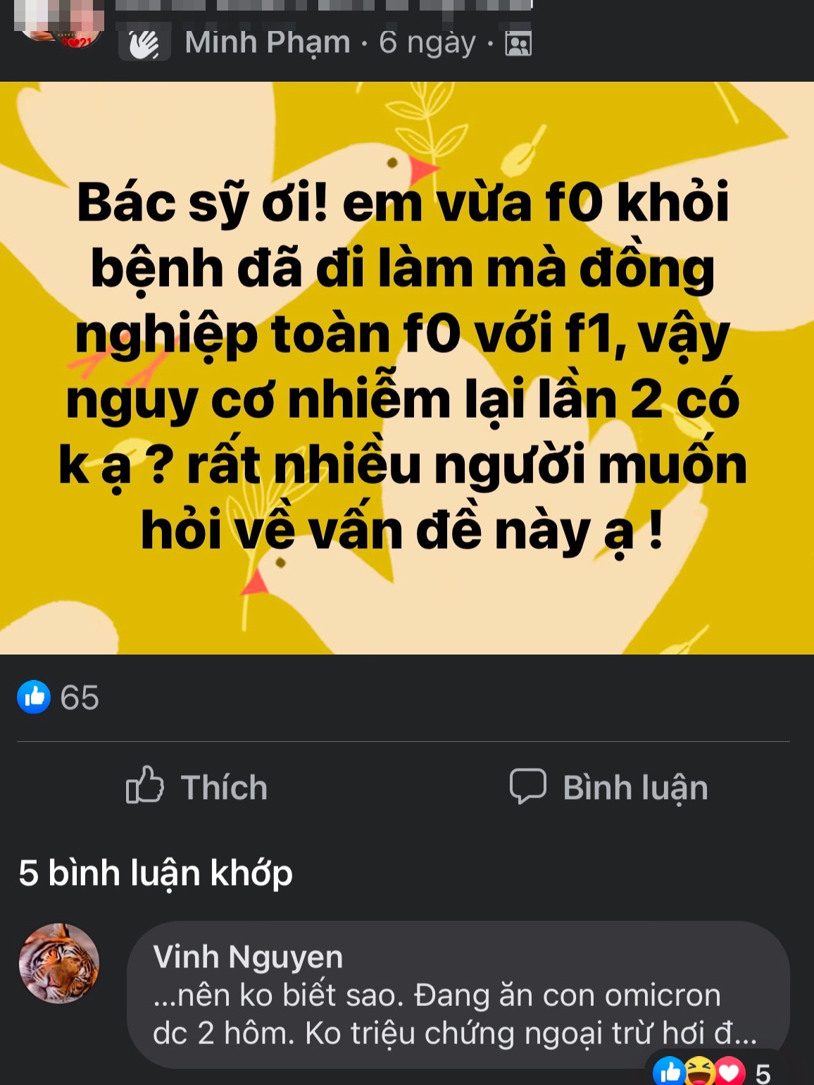 F0 khỏi bệnh tái nhiễm Omicron ảnh 2 F0 khoi benh tai nhiem Omicron anh 2