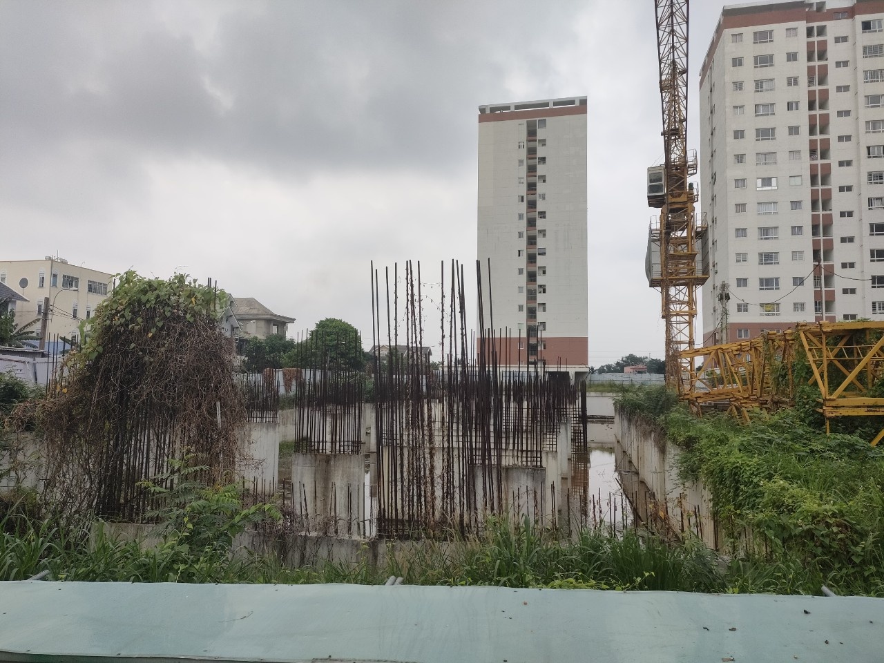 benh truyen nhiem o TP.HCM vao mua anh 3