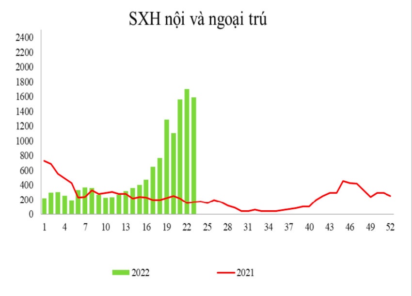TP.HCM phat hien them 4 o dich tay chan mieng anh 3