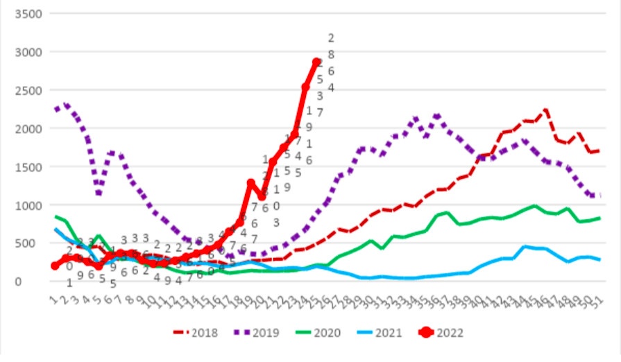 1.111 o dich sot xuat huyet tai TP.HCM anh 1