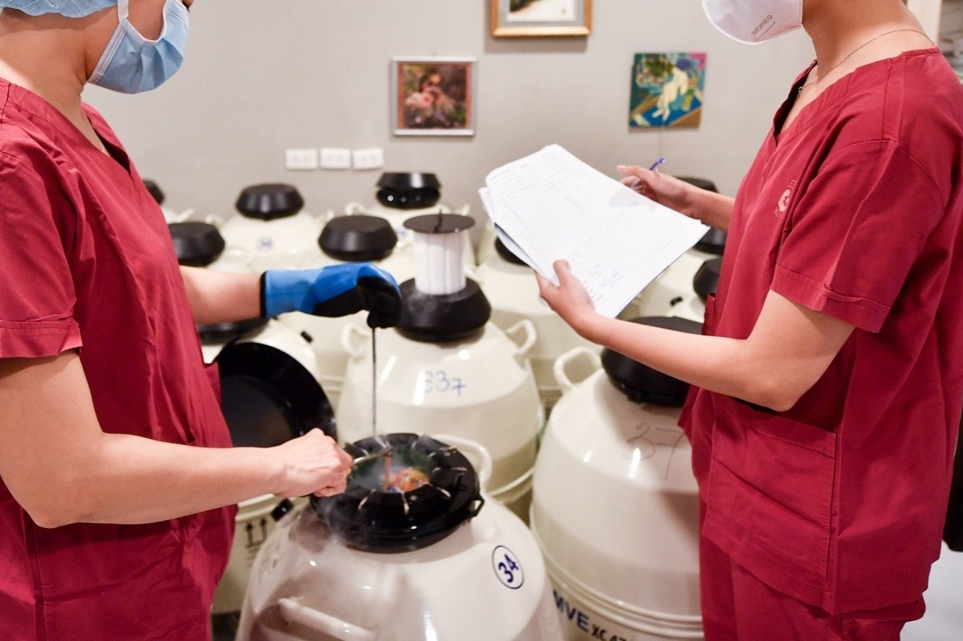 co gai xin tru trung anh 2