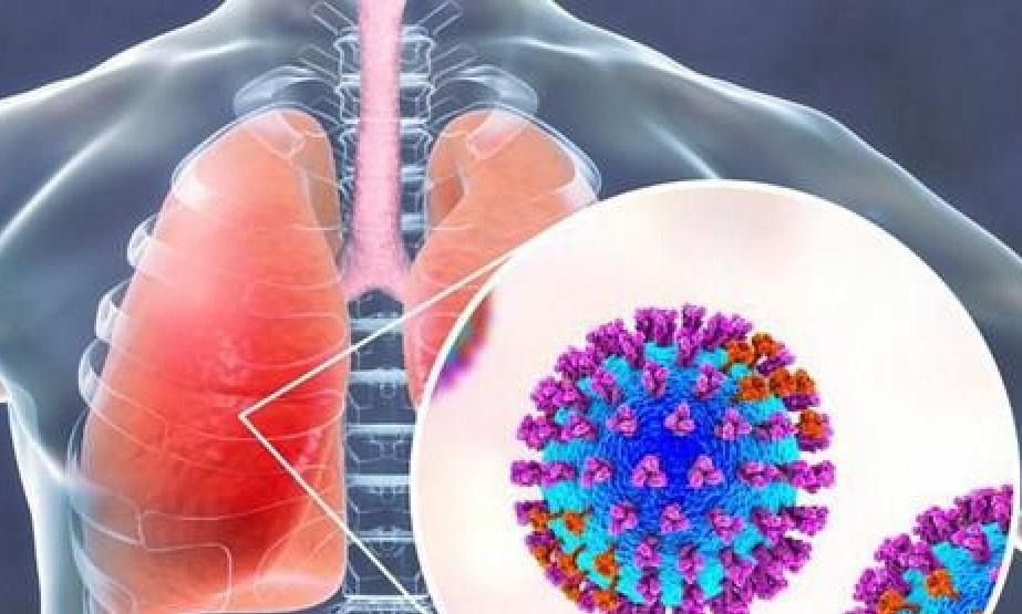 hop bao ho hap anh 1