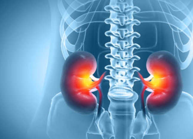 tổn thương thận ảnh 1 ton thuong than anh 1