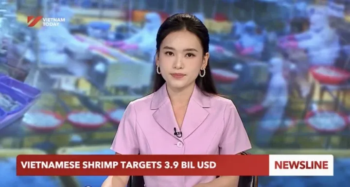 BTV Vietnam Today anh 3