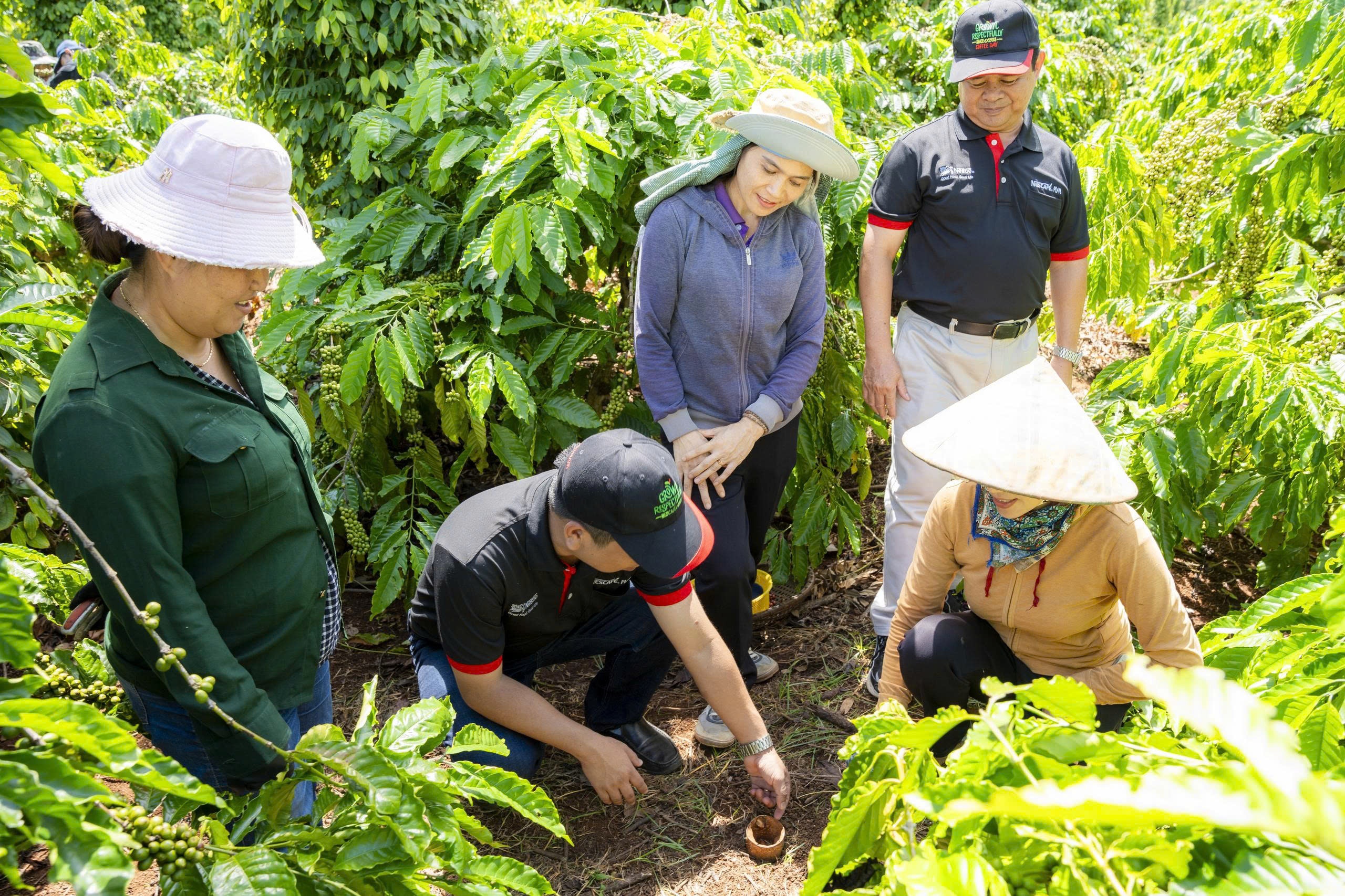 Nestle Viet Nam anh 2