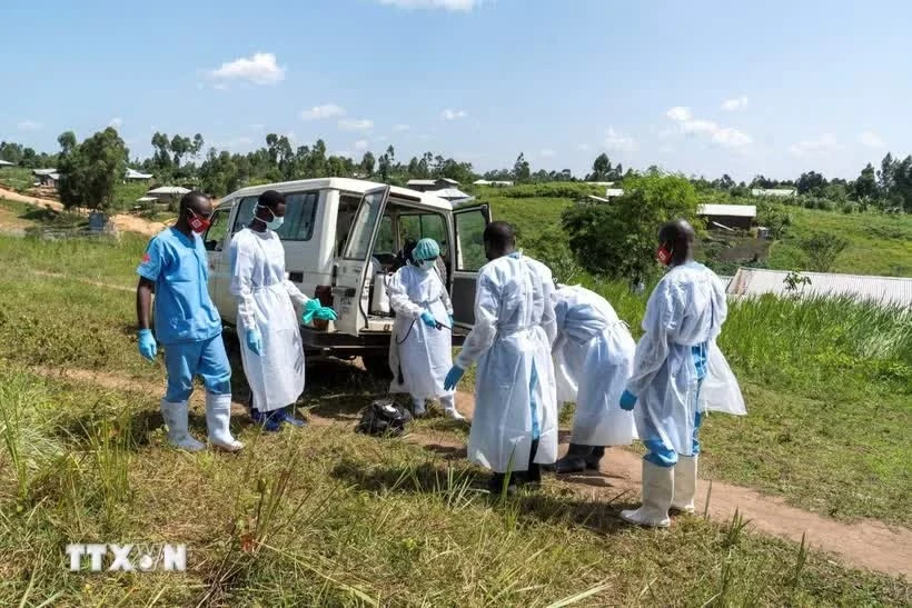 Hon 500 nguoi khong qua khoi, ty le len toi 32% vi dich Ebola hinh anh
