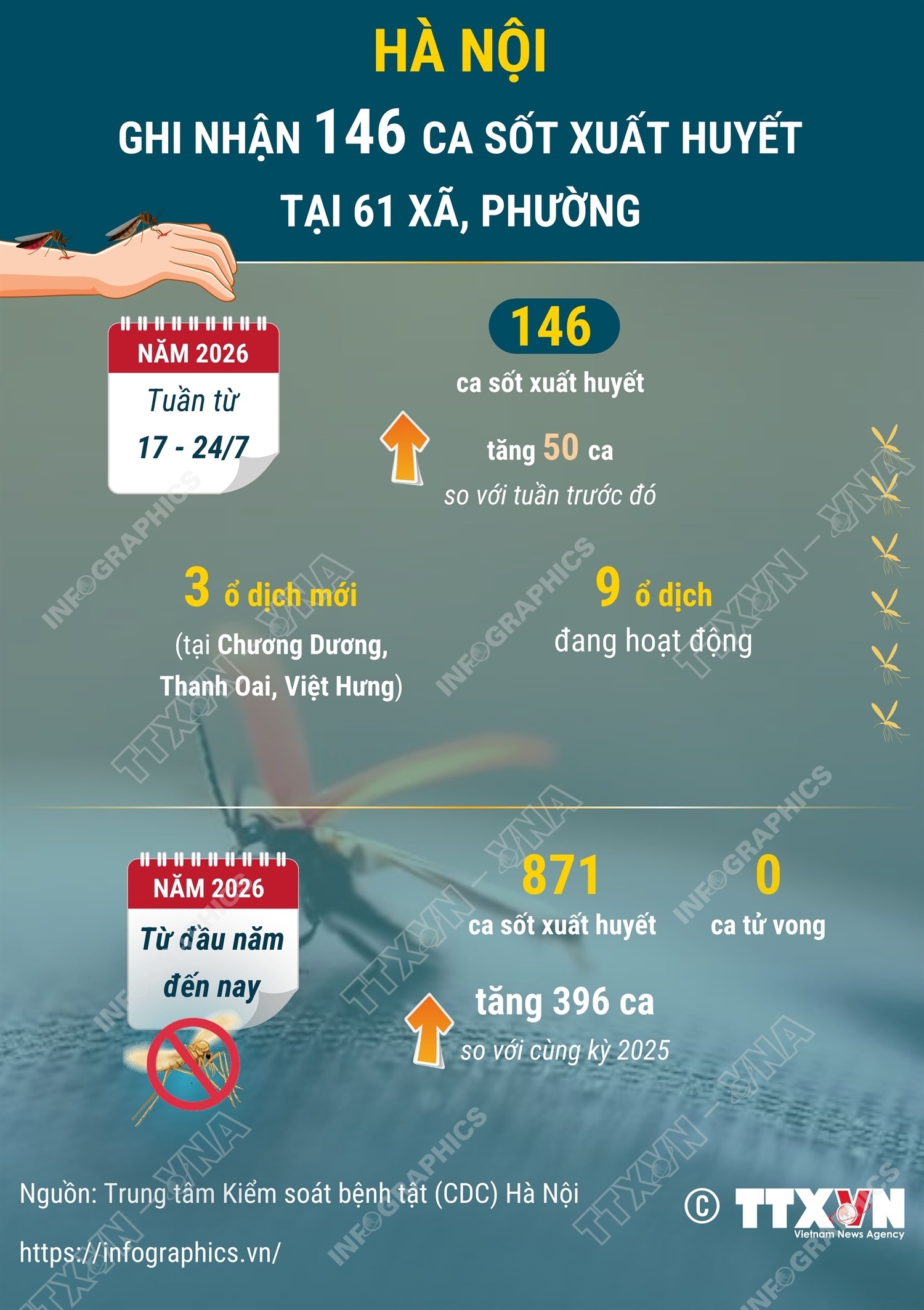 sốt xuất huyết ảnh 1