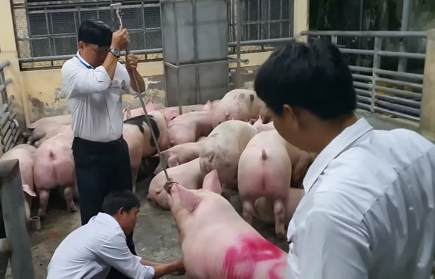 an to&agrave;n thực phẩm ảnh 2