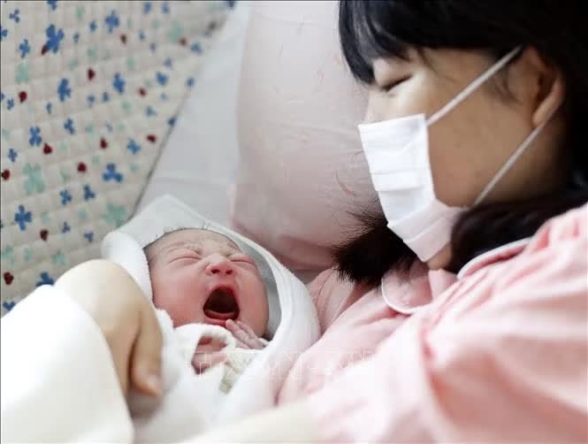 Nhật Bản đẩy nhanh kế hoạch miễn phí sinh con