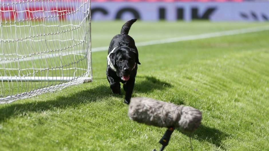 Premier League 2015/16 anh 4