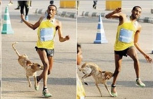 Mat huy chuong vang dien kinh vi bi cho can hinh anh