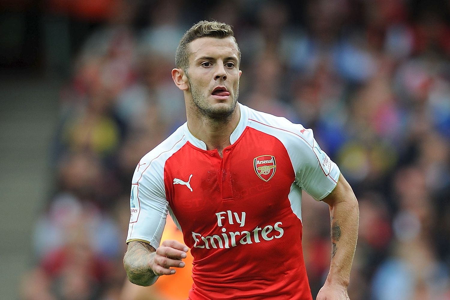 ibrahimovic sang MU ảnh 3 ibrahimovic sang MU anh 3