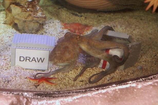 ‘Nha tien tri’ bach tuoc doan tuyen Anh thua ngay tran dau hinh anh