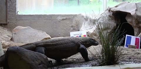 du doan euro 2016 anh 6